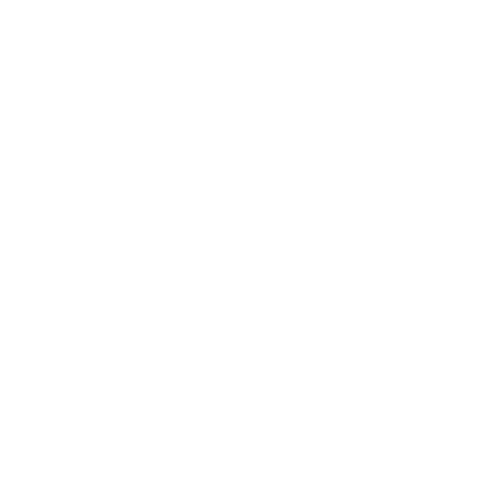 Vedad Ganić logo
